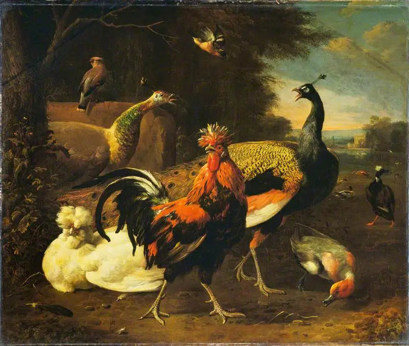 Un coq avec d'autres oiseaux - Melchior de Hondecoeter