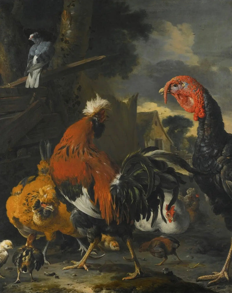 Un coq, une dinde, des poules et des poulets dans une basse-cour - Melchior de Hondecoeter