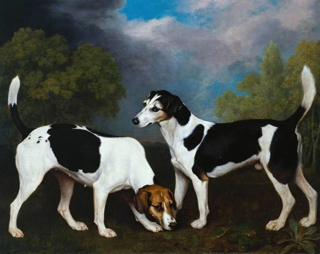 Un couple de Foxhounds - George Stubbs - Alpha Reproduction