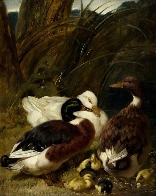 Un groupe de canards - John Frederick Herring, Sr.