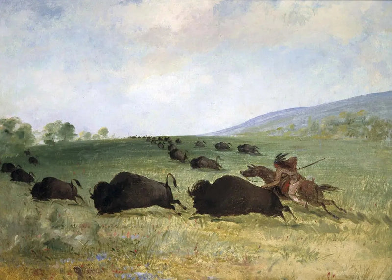 Un Indien Osage lance un buffle - George Catlin