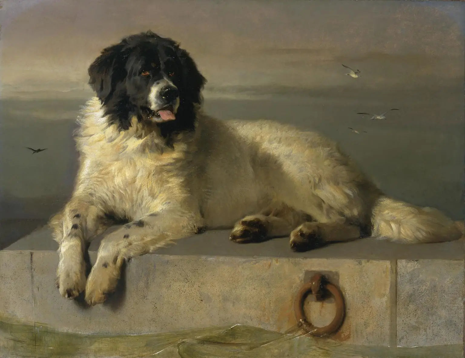 Un membre distingué de la Humane Society - Edwin Henry Landseer - Alpha Reproduction