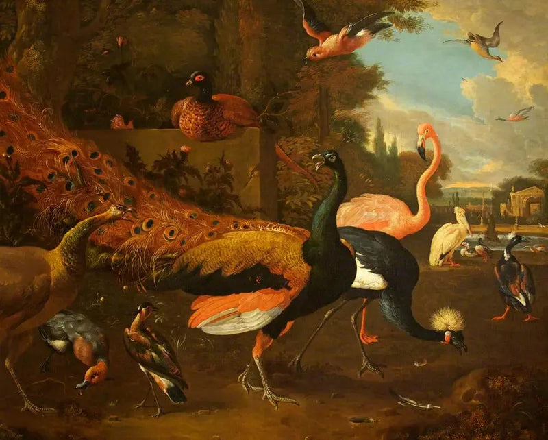 Un paon et une paonne avec une grue, un flamant rose, un pélican et d'autres oiseaux, dans un parc - Melchior de Hondecoeter