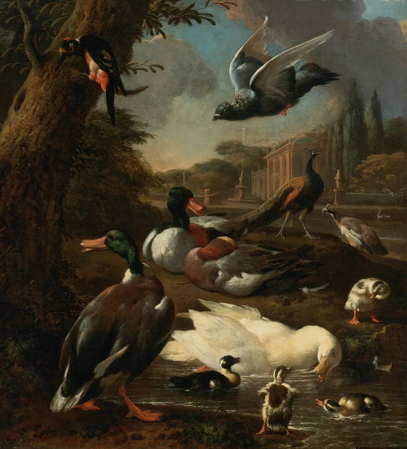 Un paon, un pigeon, des canards et d'autres oiseaux dans un jardin - Melchior de Hondecoeter
