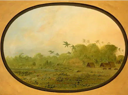 Un petit village d’Indiens Remos - George Catlin - Alpha Reproduction