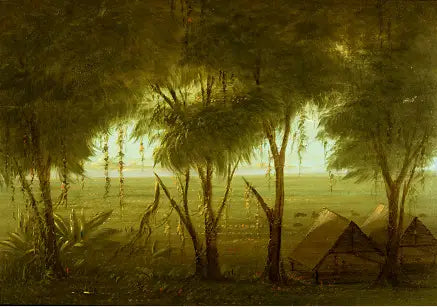 Un village de Connibo - George Catlin - Alpha Reproduction