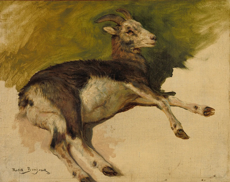 Une chèvre - Rosa Bonheur