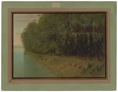 Une forêt amazonienne - Regard vers le rivage - George Catlin - Alpha Reproduction