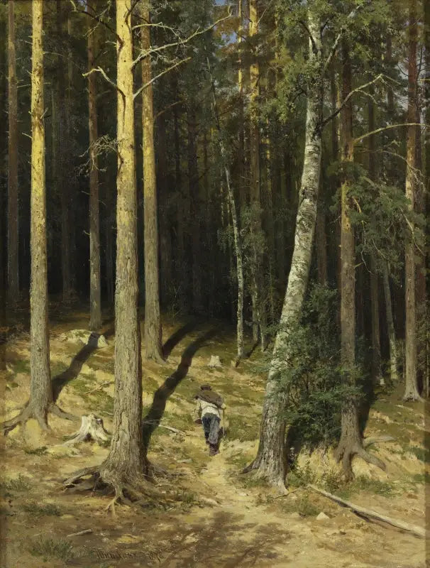 Une forêt de pins - Ivan Chichkine