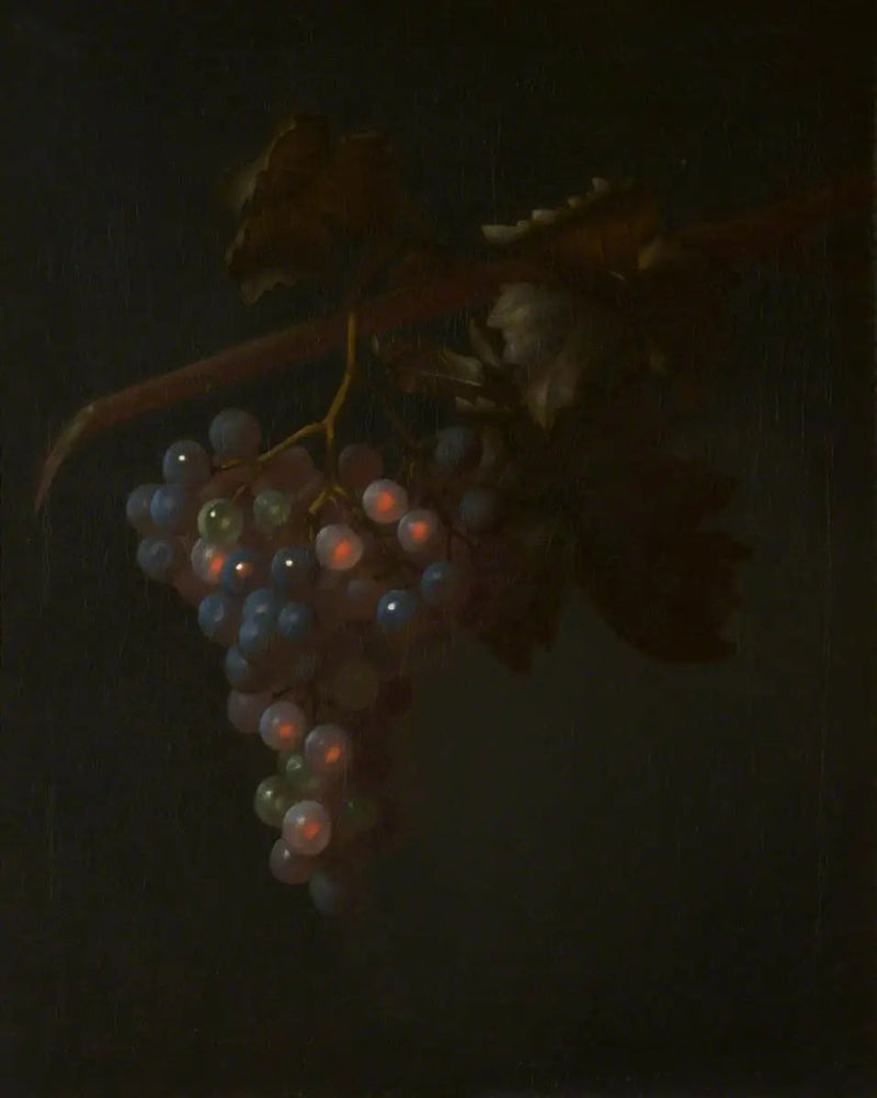 Une grappe de raisin - Tobias Stranover