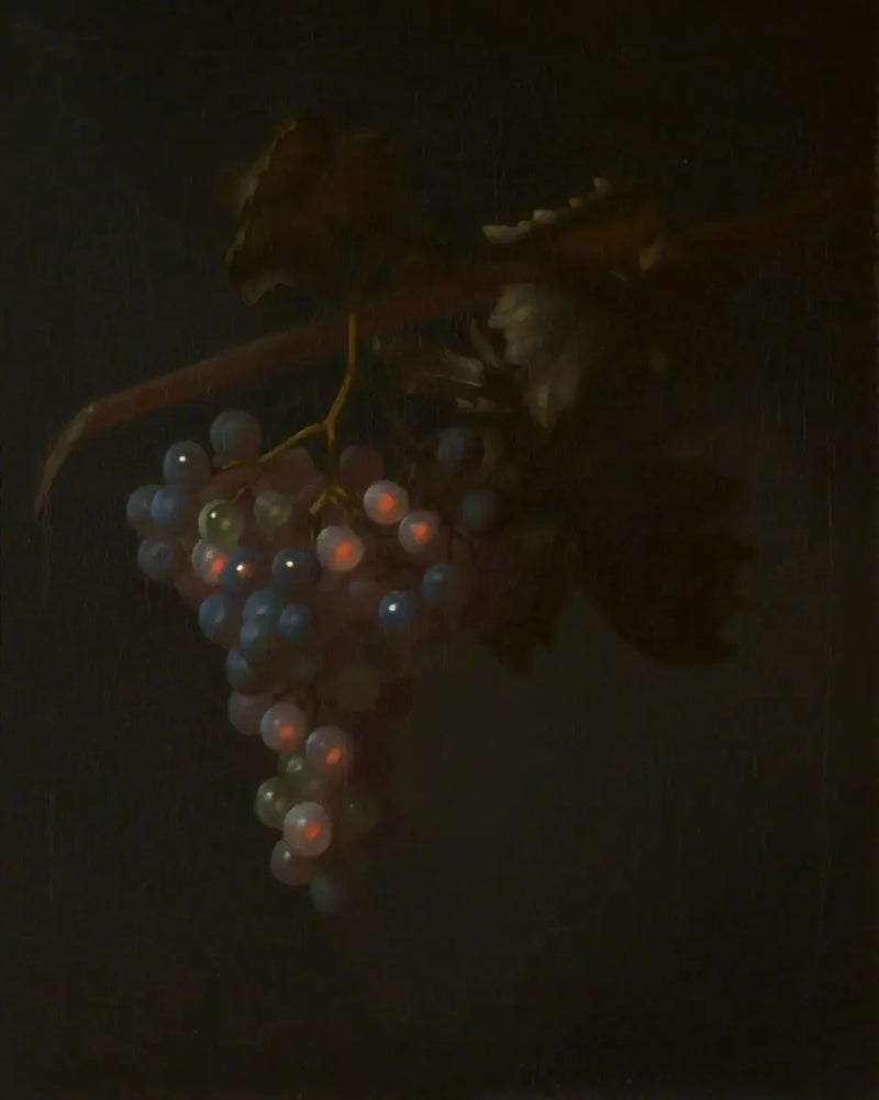 Une grappe de raisin - Tobias Stranover