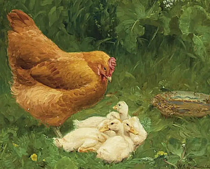 Une poule et quelques canetons. - H. A. Brendekilde