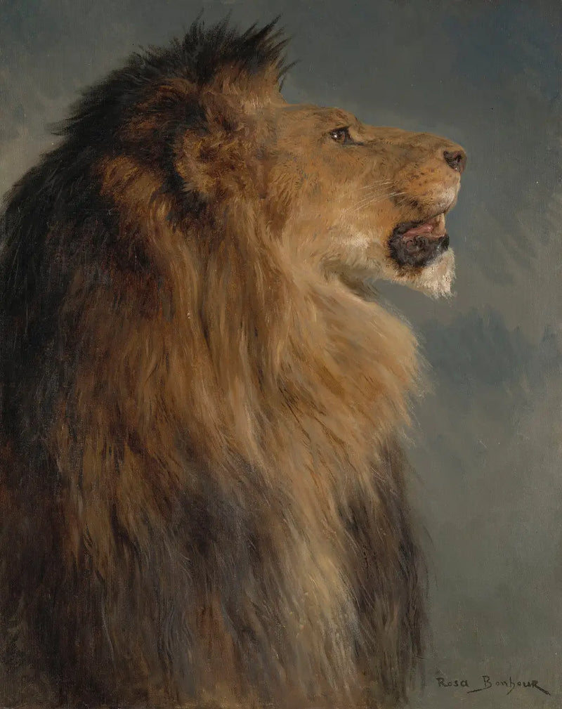Une tête de lion - Rosa Bonheur