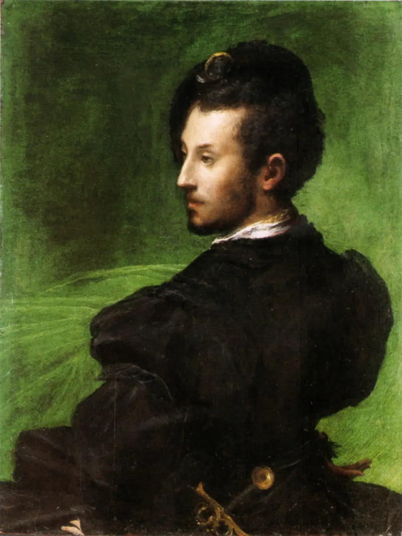 Uomo su sfondo verde - Parmigianino