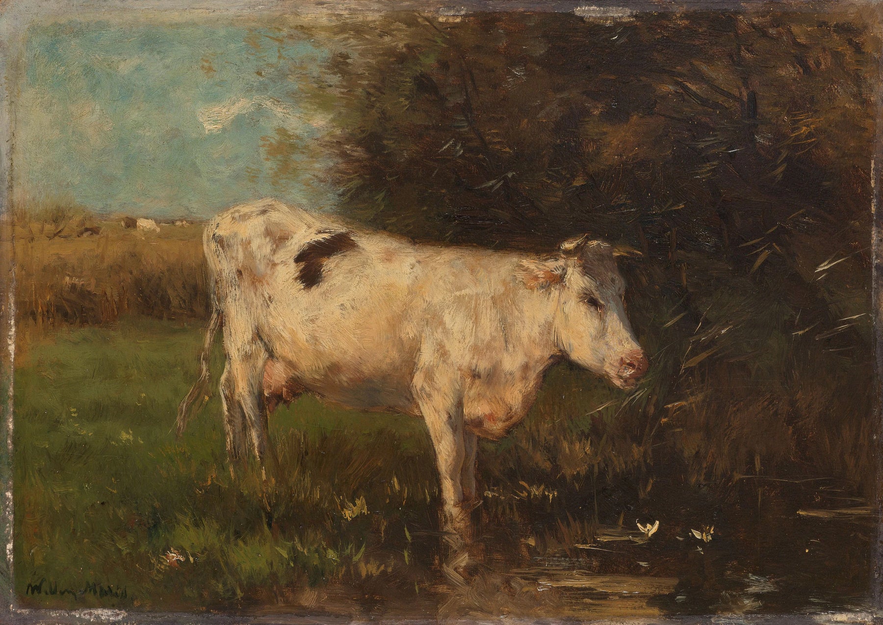 Vache blanche - Willem Maris