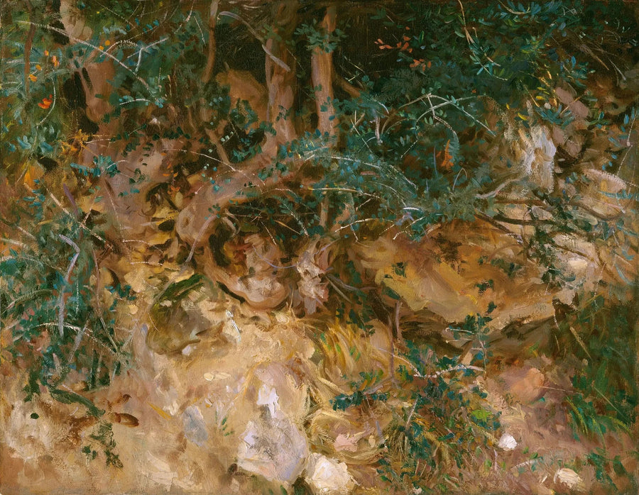 Valdemosa, Majorque : chardons et herbes sur une colline - John Singer Sargent