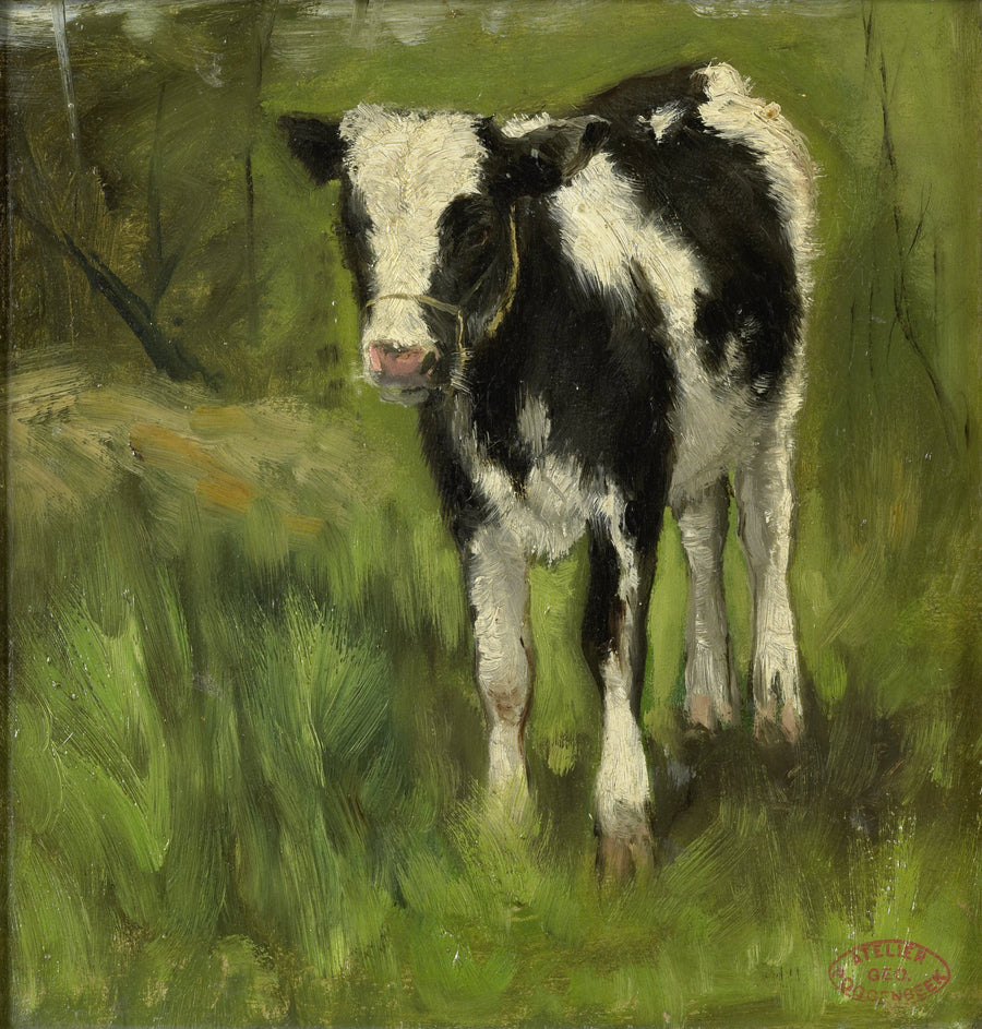 Veau tacheté de noir et blanc - Geo Poggenbeek
