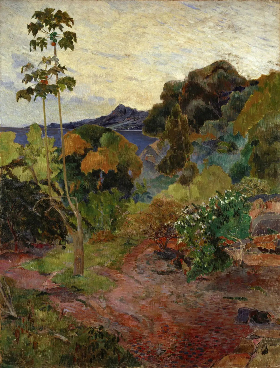 Végétation tropicale, Martinique - Paul Gauguin