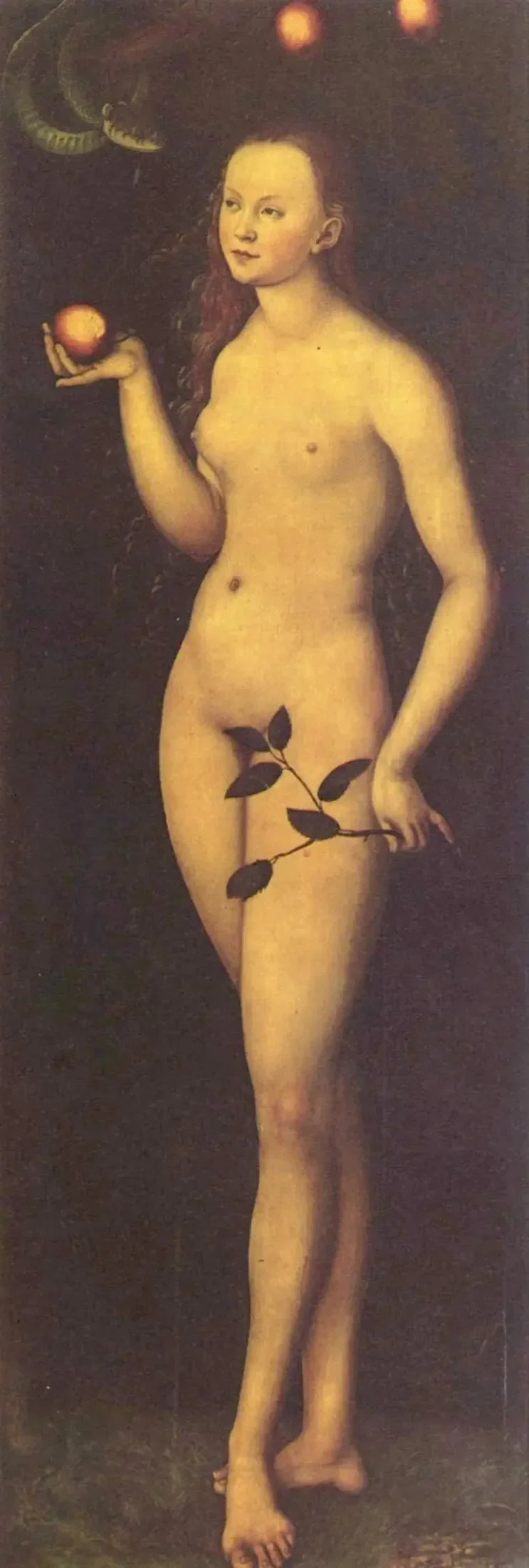 Veille - Lucas Cranach the Elder