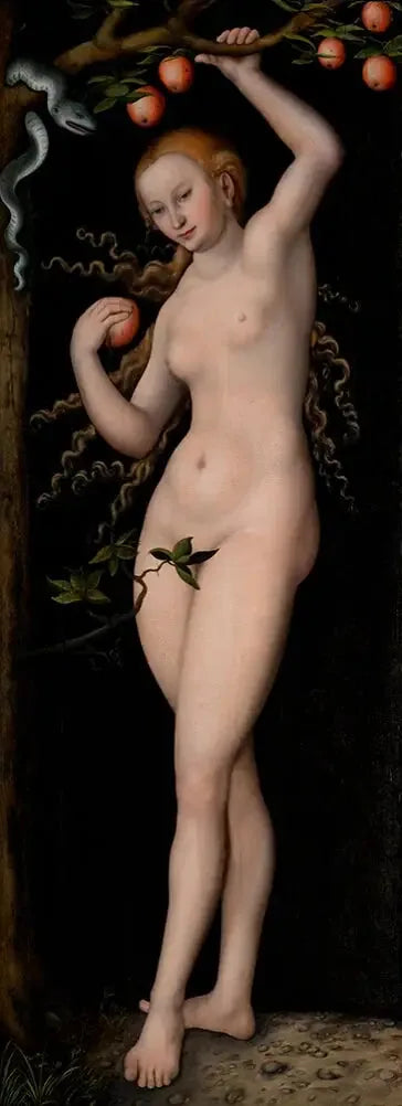 Veille - Lucas Cranach the Elder