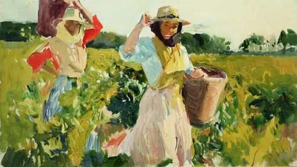 Vendimiando, Jerez - Joaquín Sorolla