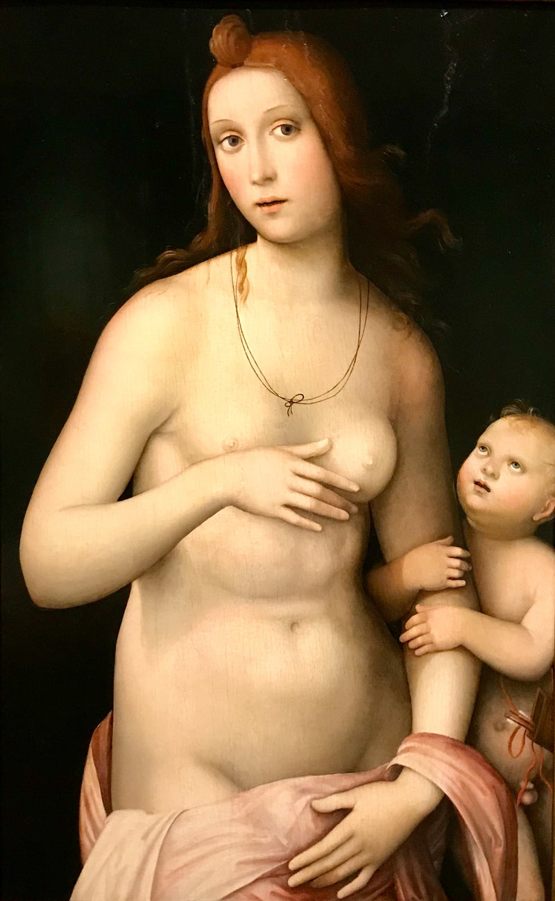 Vénus et Cupidon - Francesco Francia