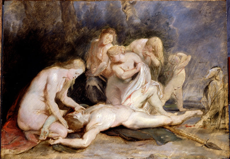 Vénus pleurant Adonis - Peter Paul Rubens