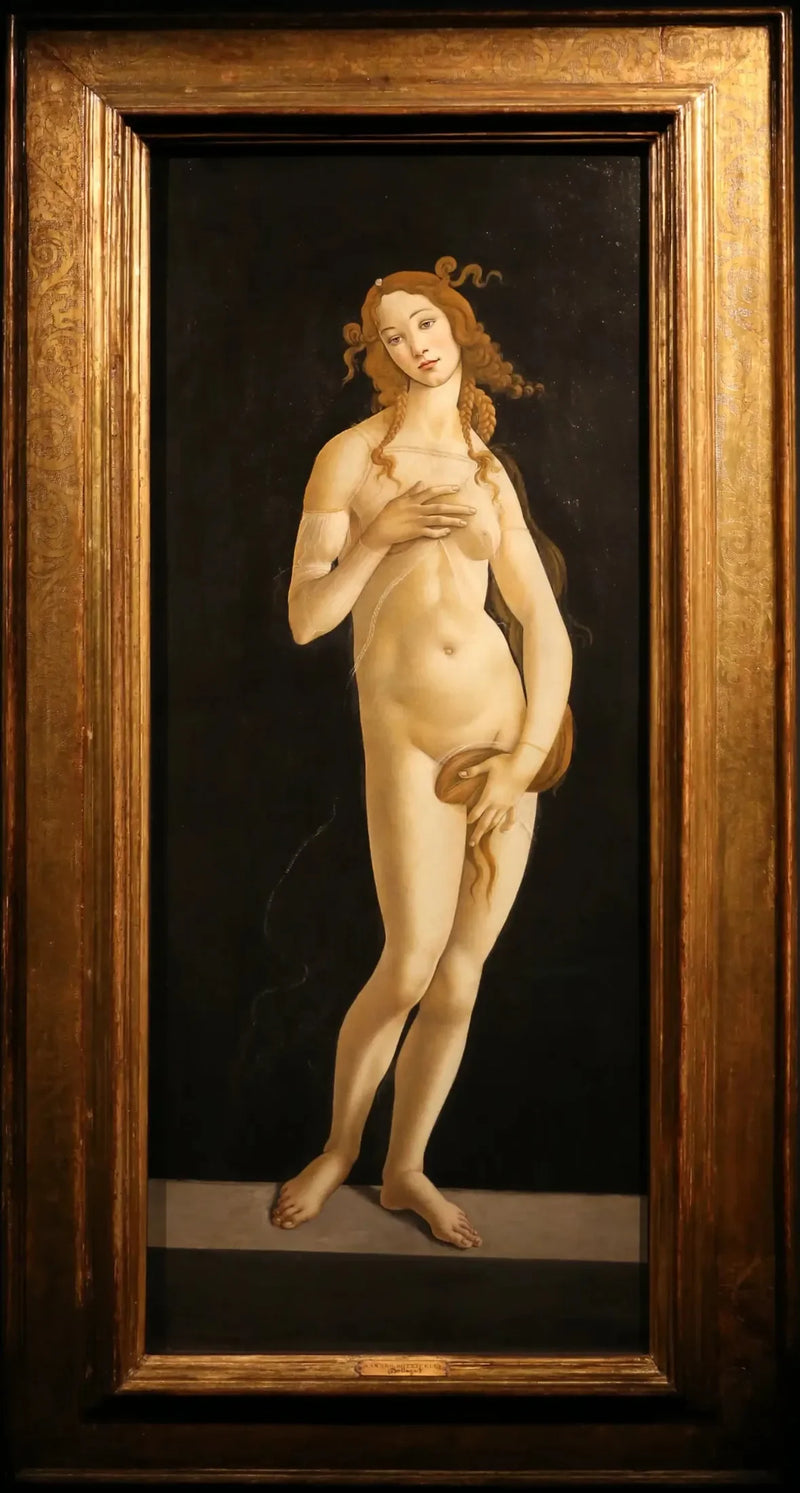Vénus pudique - Sandro Botticelli