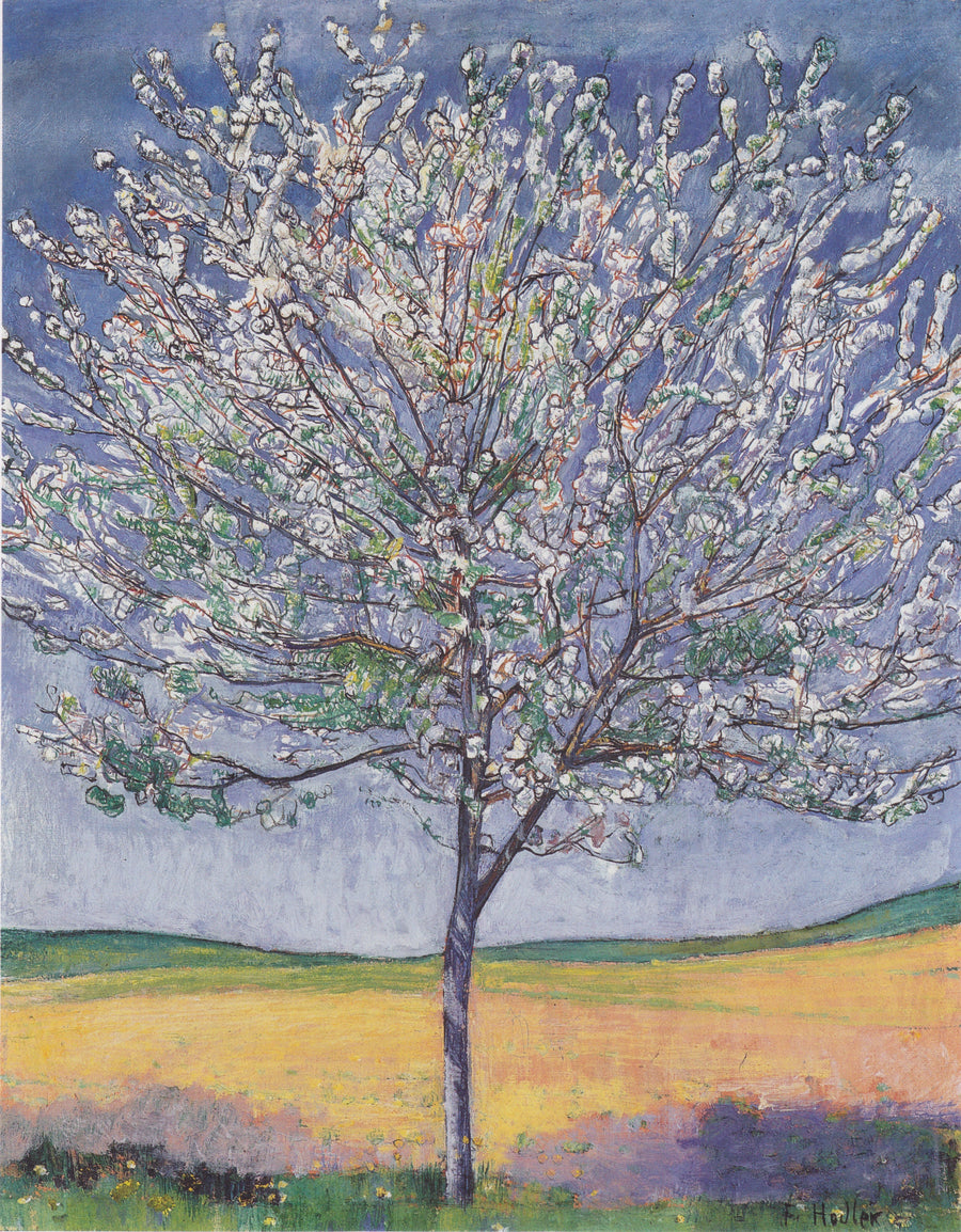 Cerisier en fleurs, peinture de Ferdinand Hodler
