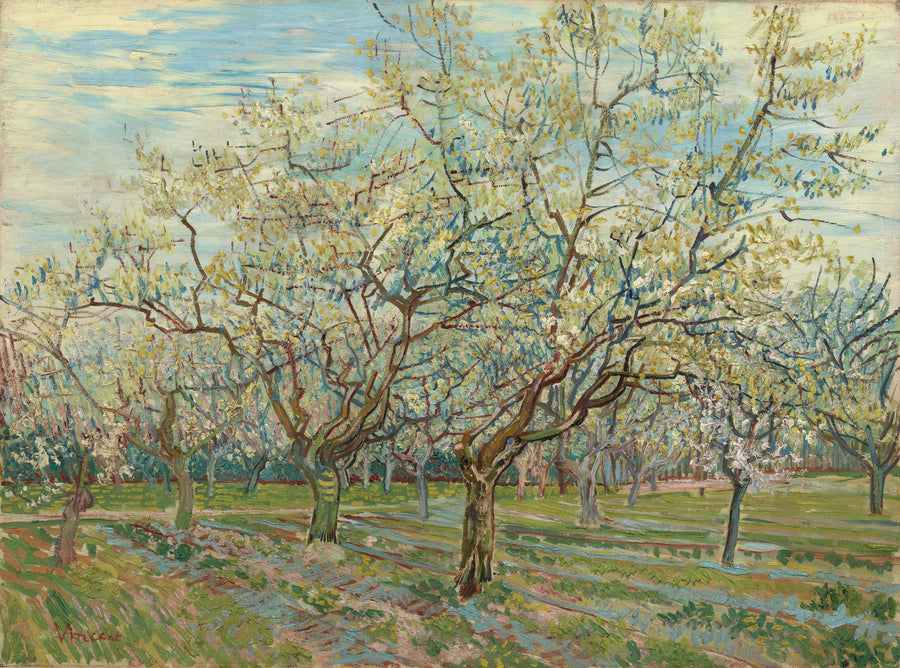 Le Verger blanc, F403 – Vincent van Gogh