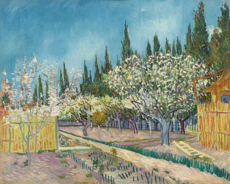 Verger en fleurs bordé de cyprès, F513 – Van Gogh