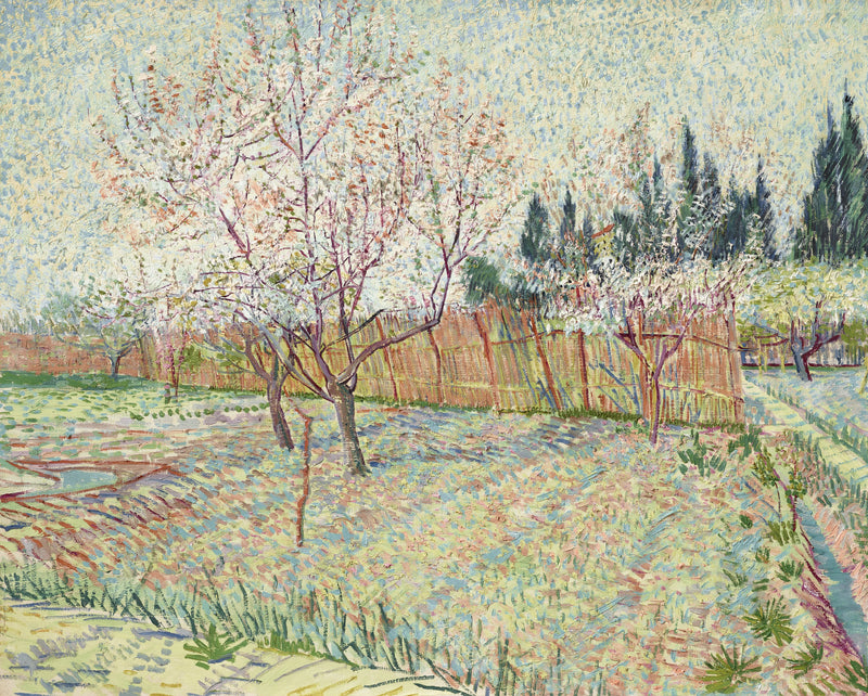 Verger avec cyprès, F551 – Vincent van Gogh