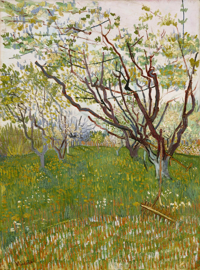 Verger en fleur - Vincent van Gogh