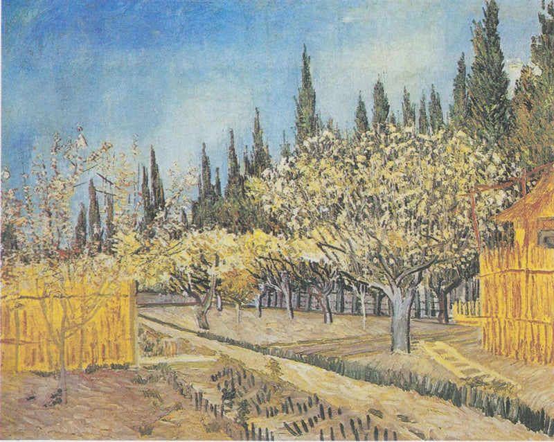Verger en fleurs, bordé de cyprès - Vincent van Gogh