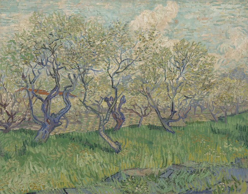 Verger en fleurs, F511 – Vincent van Gogh
