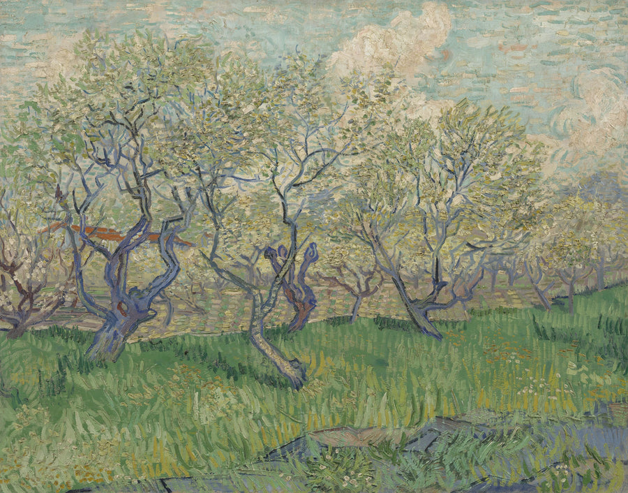 Verger en fleurs, F511 – Vincent van Gogh