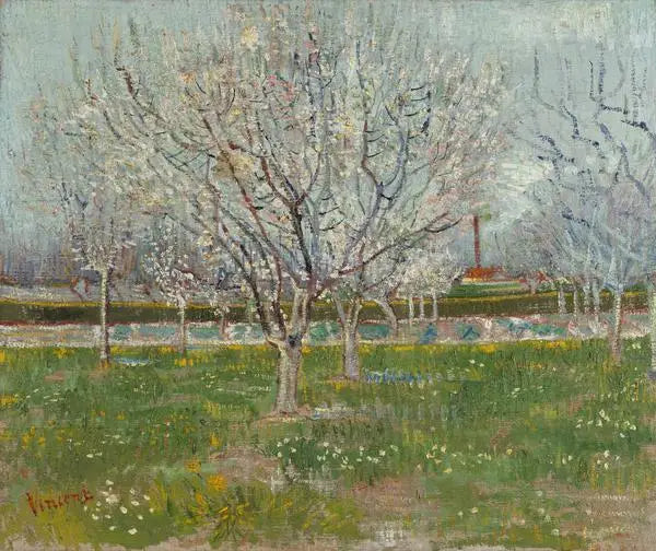 Verger en fleurs - Vincent van Gogh