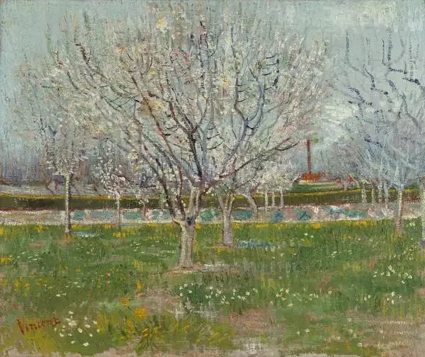 Verger en fleurs - Vincent van Gogh