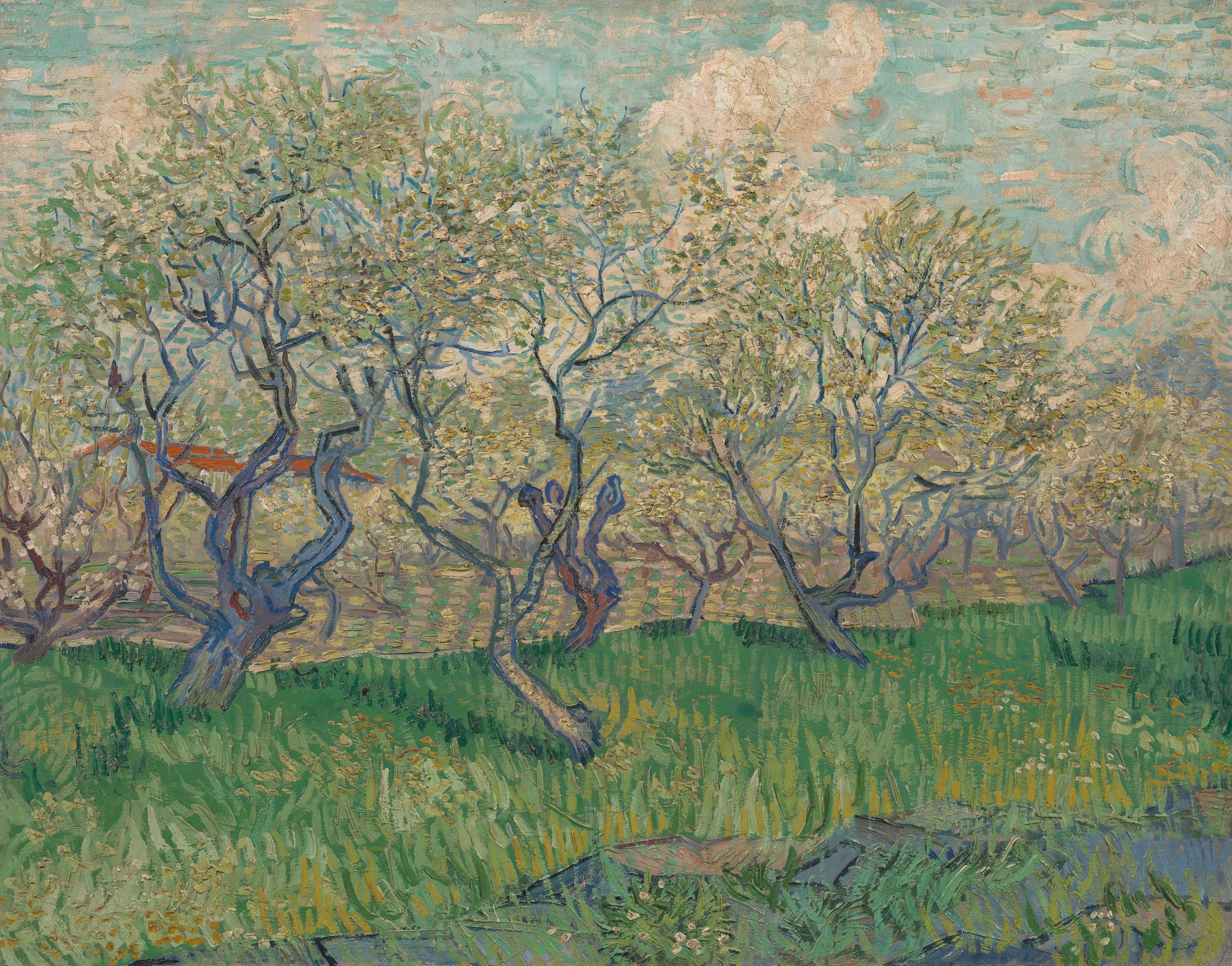 Frugthave i blomst - Vincent van Gogh billede 1 reproduktion af oliemaleri
