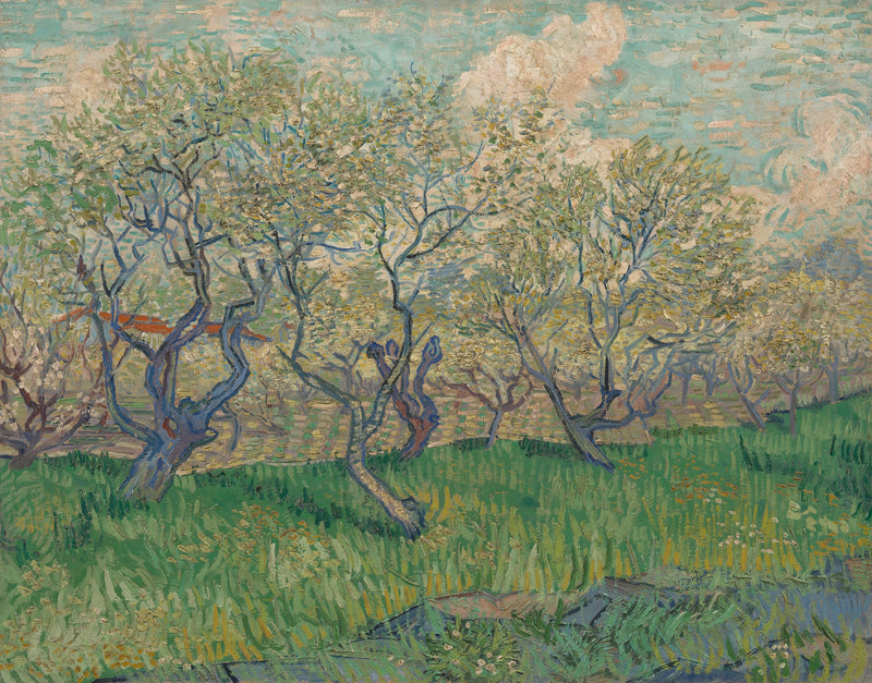 Verger en fleurs, F511 – Vincent van Gogh