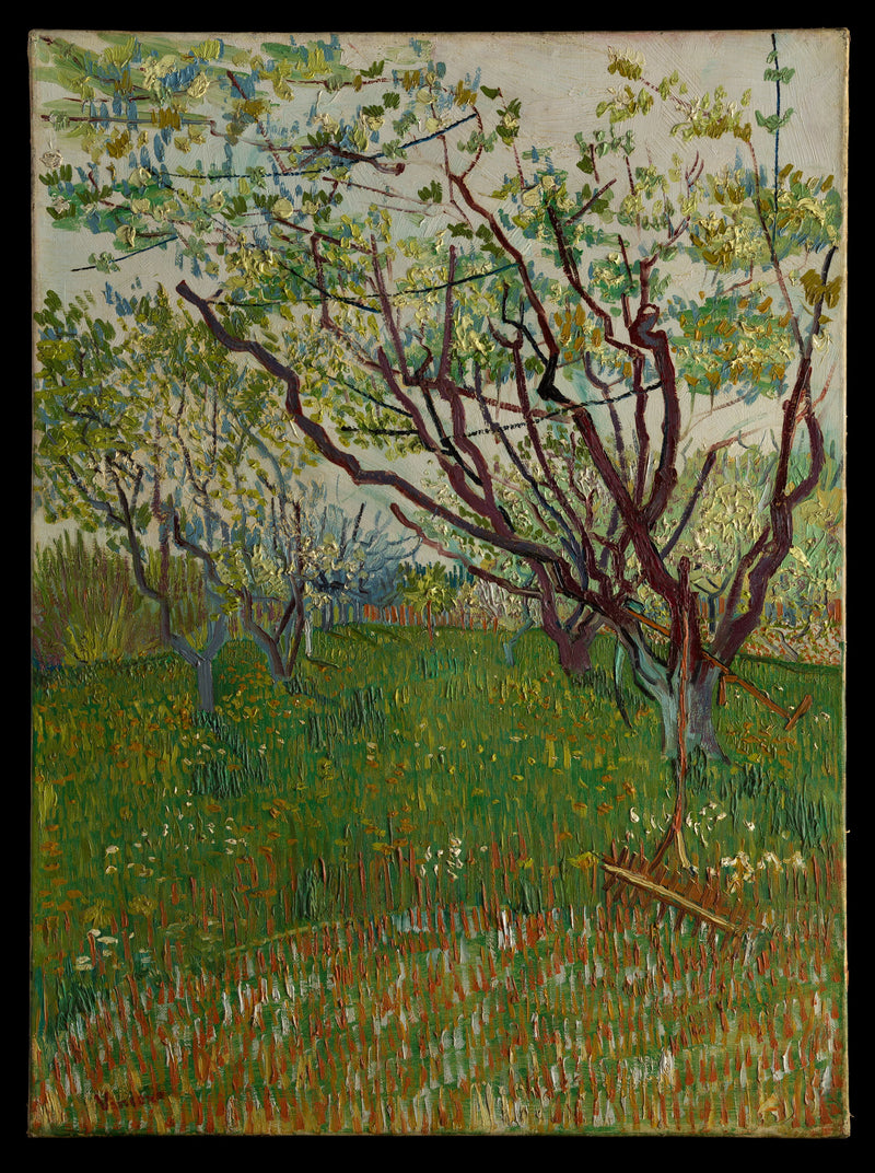 Le Verger en fleurs, F552 – Vincent van Gogh