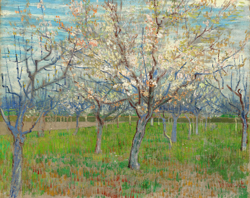 Le Verger rose, F555 – Vincent van Gogh
