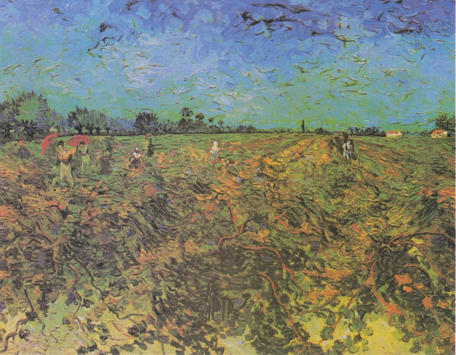 La Vigne verte, F475 – Vincent van Gogh