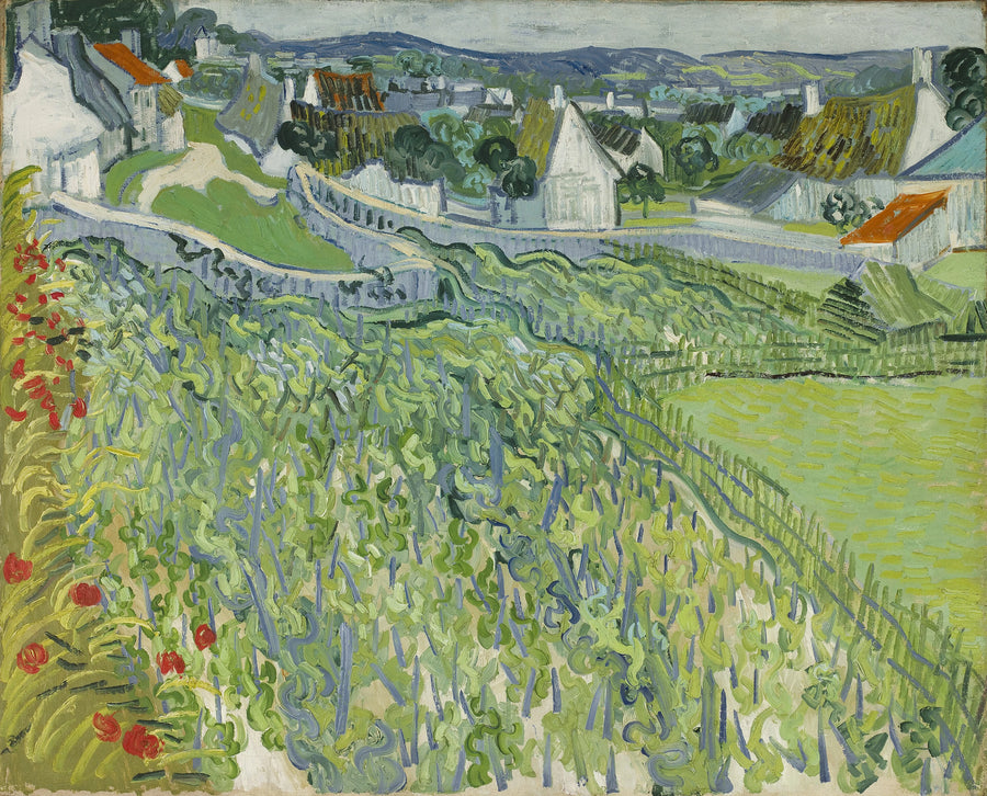 Vignobles à Auvers – Vincent van Gogh