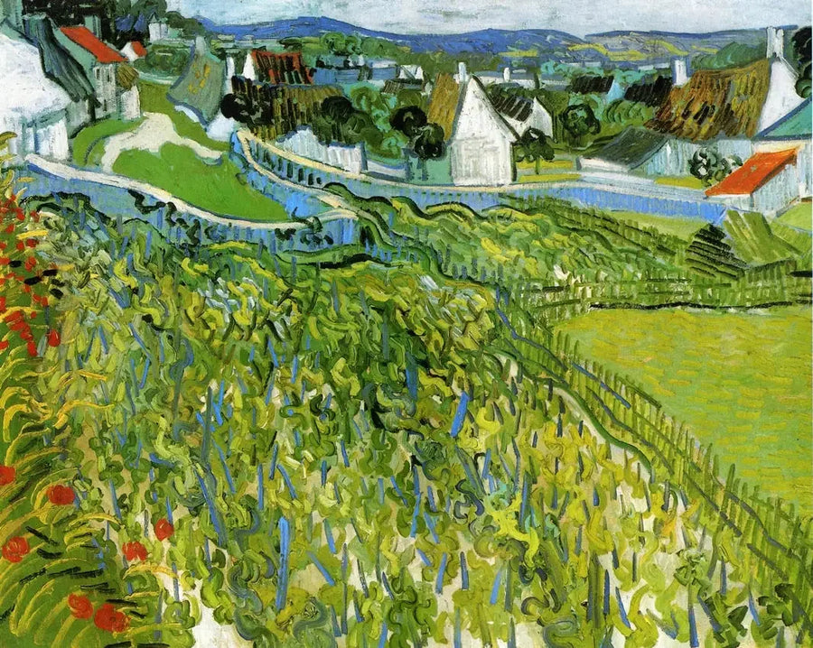 Vignobles d'Auvers - Vincent van Gogh
