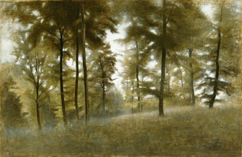 Jeune Hêtraie à Frederiksværk - Vilhelm Hammershøi