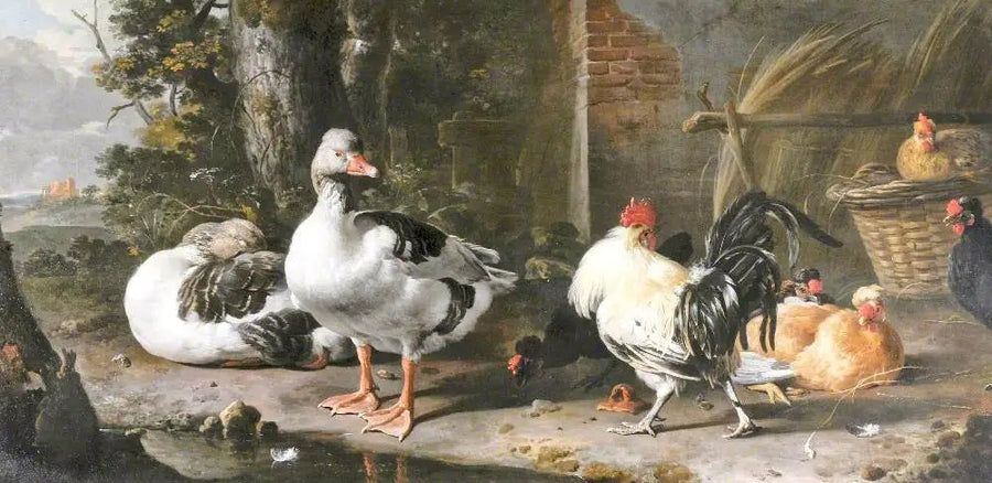 Volailles et oies - Melchior de Hondecoeter