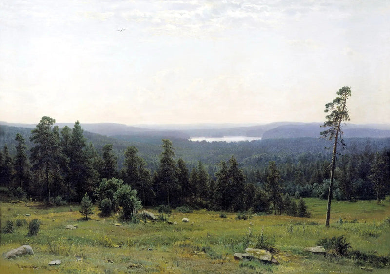 Vues lointaines de la forêt - Ivan Chichkine