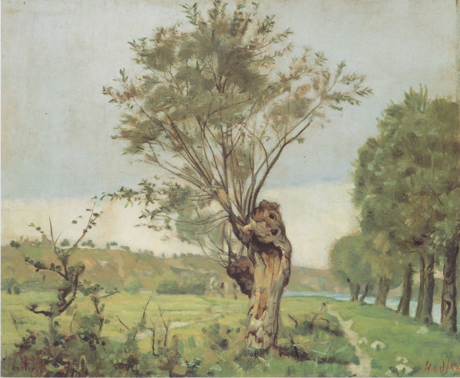 Weiden an der Jonction bei Genf. - Ferdinand Hodler